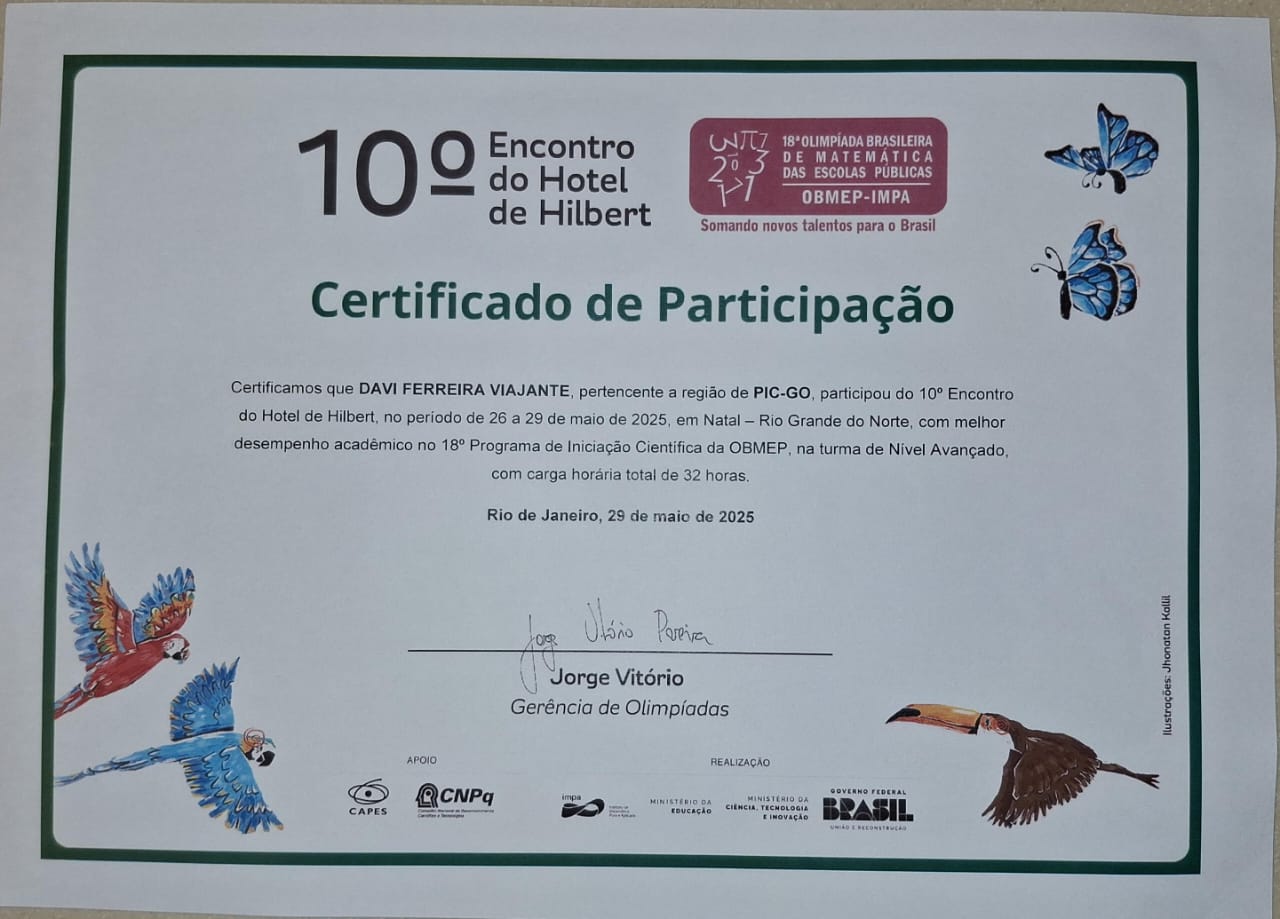 Certificado de participação do Davi no 10º EHH